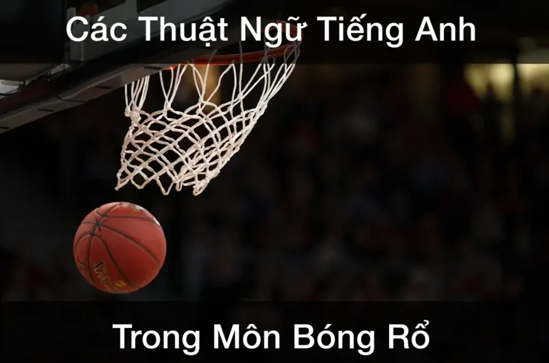 Học basketball theo cụm từ giúp người học dễ đặt câu và sử dụng linh hoạt hơn.