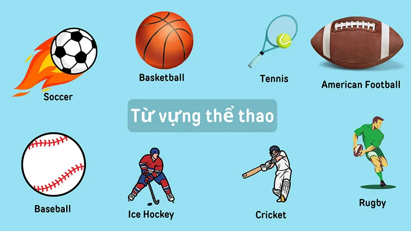 Với các môn thể thao có bóng, người học thường dùng động từ play trước tên môn.