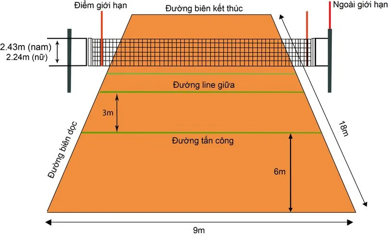 Khi đo lưới bóng chuyền nam, cần đo tại chính giữa sân và ở mép trên của lưới